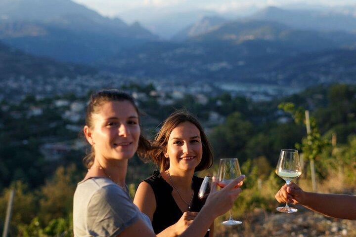 Vineyard Tour with Wine Tasting in Nice