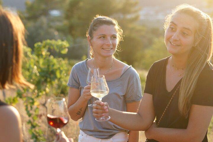 Tour dei vigneti con degustazione di vini a Nizza