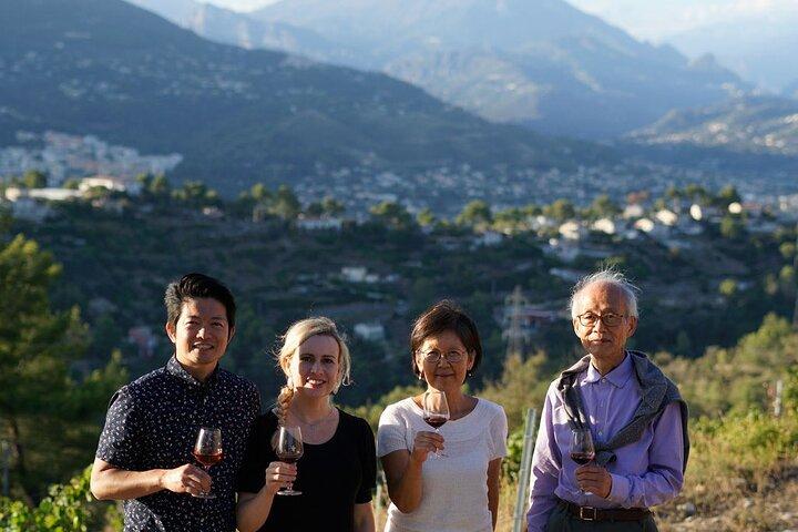 Tour dei vigneti con degustazione di vini a Nizza