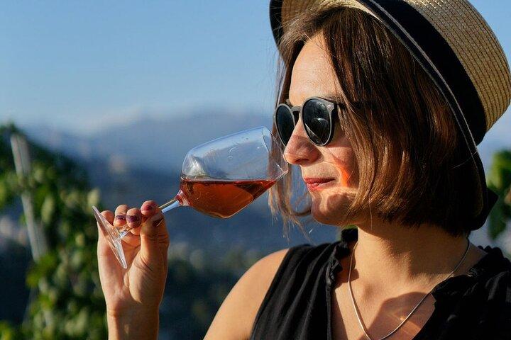 Tour dei vigneti con degustazione di vini a Nizza