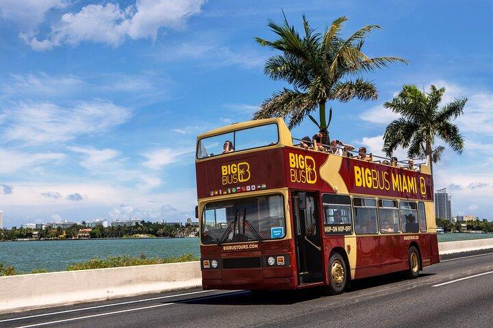 Miami Combo: Everglades, bådsejlads og åbent topbusstur