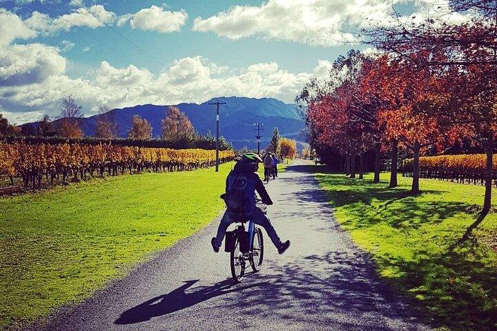 Självguidade vinturer på cykel med Lorelle & Greg