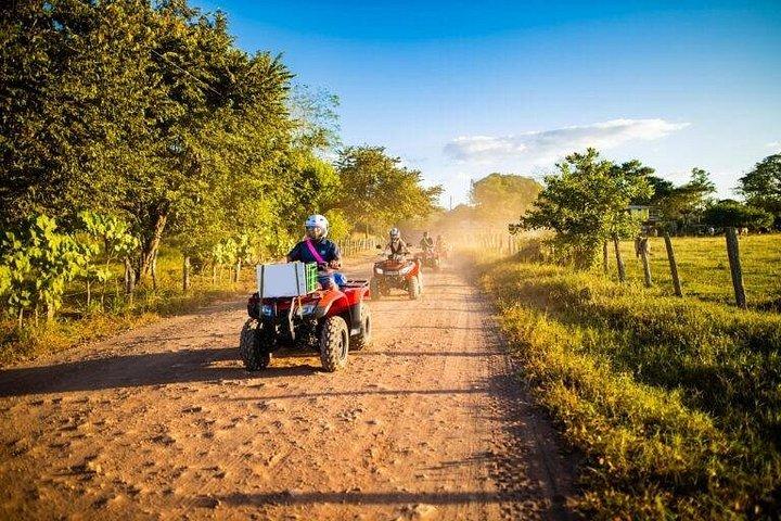 タマリンド、フラミンゴ、コンチャル、グランデからの 3 時間 ATV 人里離れたビーチ ツアー