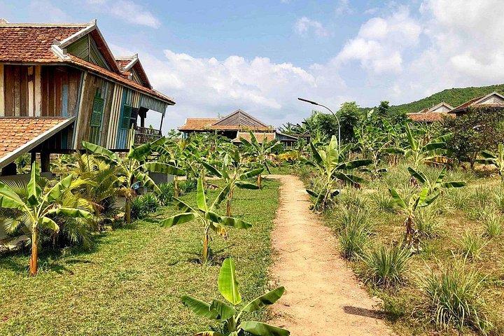 La Plantation tour (discovering Kampot Pepper) + Lunch