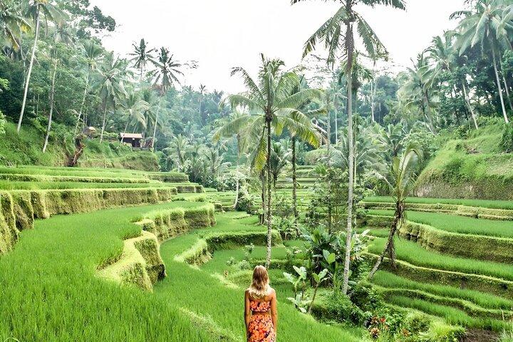 Ubud Tour mit Weihwassertempel Tirta Empul