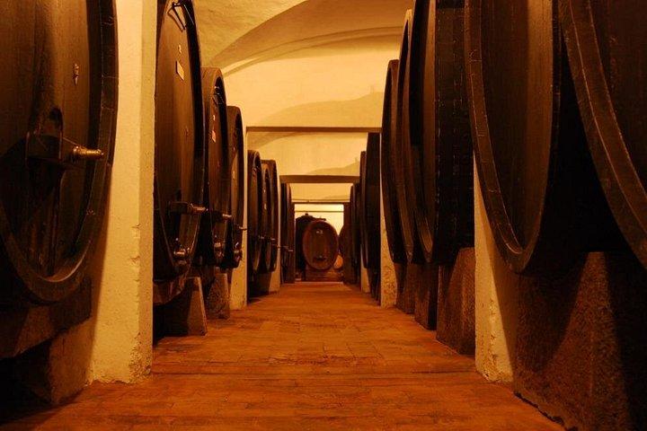Chianti Wine Tour: Tuscan Reds