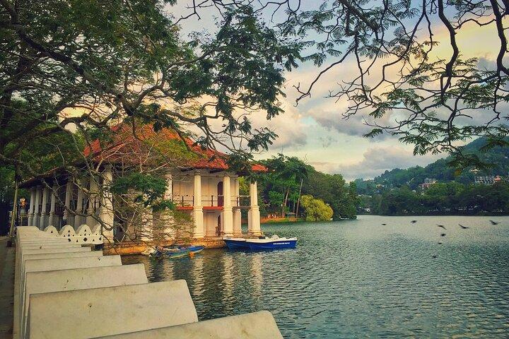 Kandy-dagtour vanuit Colombo