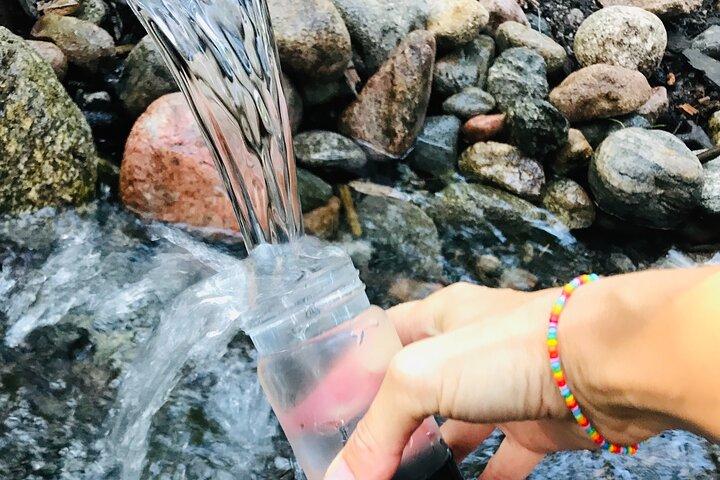 森林浴ゆっくりウォーキングと癒しの湧水、ストックホルム