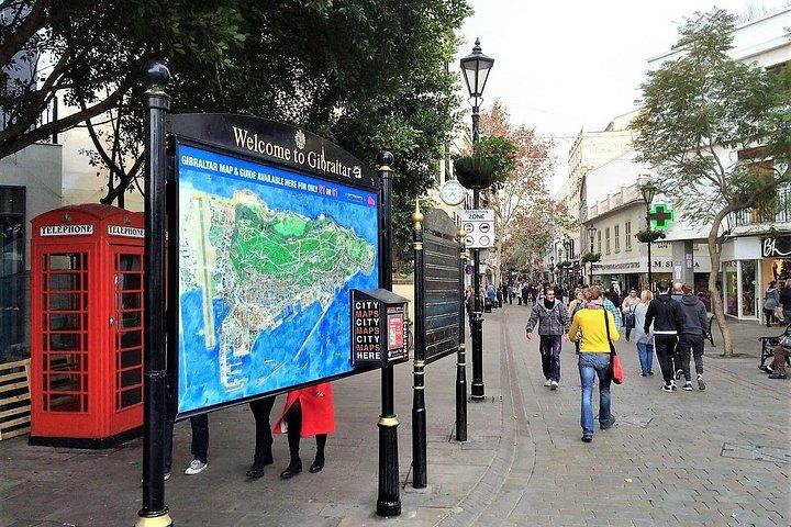 From Malaga: Private trip in Gibraltar and Marbella