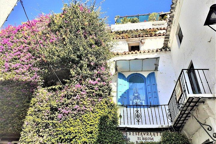 From Malaga: Private trip in Gibraltar and Marbella