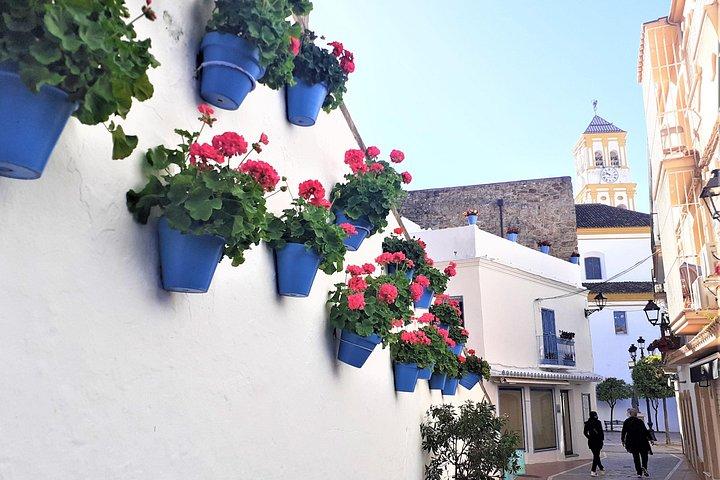 From Malaga: Private trip in Gibraltar and Marbella