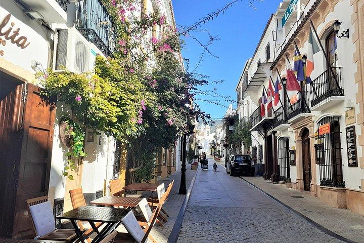 From Malaga: Private trip in Gibraltar and Marbella