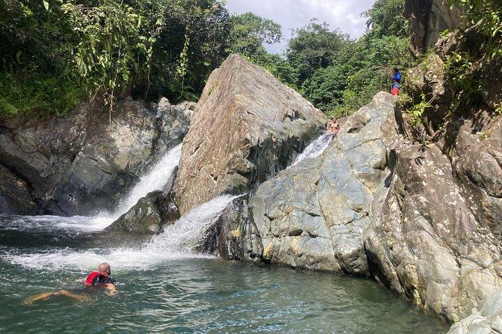 Immersive El Yunque Rainforest Adventure with Transportation