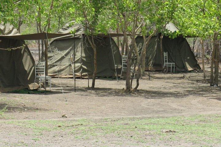 Chobe Safari Overnight Camping Trip
