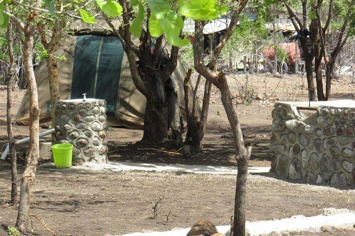 Chobe Safari Overnight Camping Trip