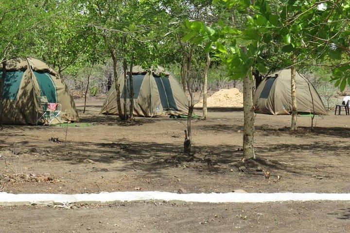 Chobe Safari Overnight Camping Trip