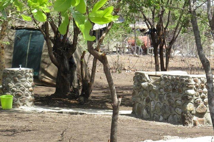 Chobe Safari Overnight Camping Trip