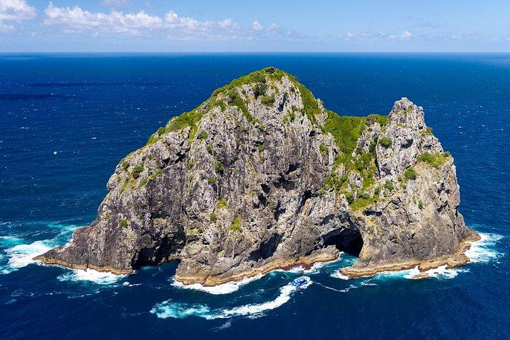 オークランド発のベイ オブ アイランズ ディスカバリー エクスペリエンス。ホール イン ザ ロック クルーズ