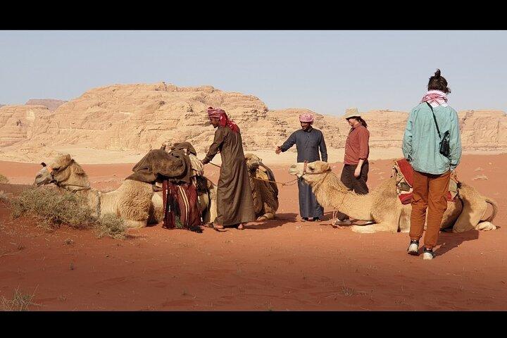 Excursion d'une journée en jeep et nuit à Wadi Rum
