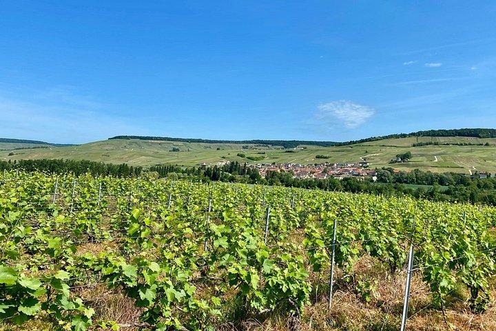Moet et Chandon Pressoria Champagne Small Group from Paris