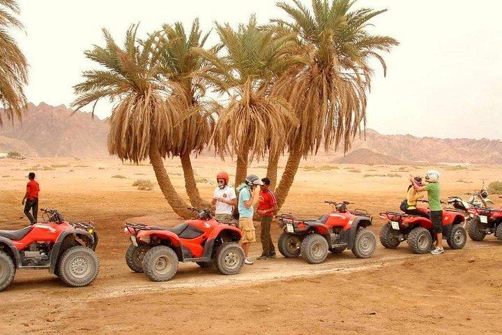 Quad Biking in Sharm El sheikh Desert, Party, Dinner
