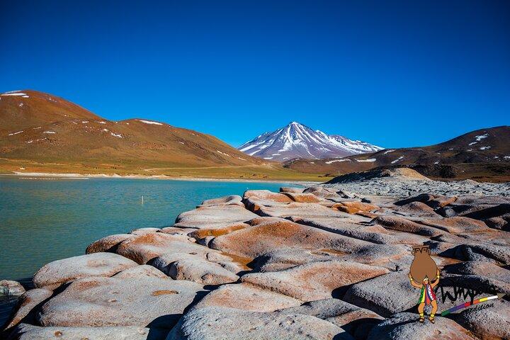 Piedras Rojas + Lagunes altiplaniques et Salar de Atacama