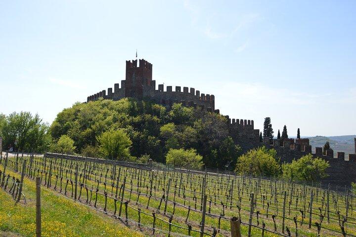 Pagus Wine Tours® - Soave et Amarone - Visite œnologique d'une demi-journée