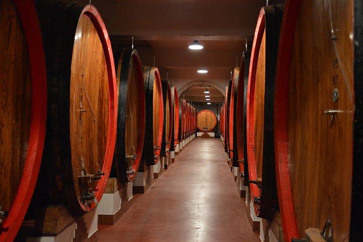 Pagus Wine Tours® - ソアーヴェとアマローネ - 半日ワイン ツアー