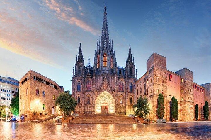 Cathedral of Barcelona Entrance Ticket - Optional Private Guide