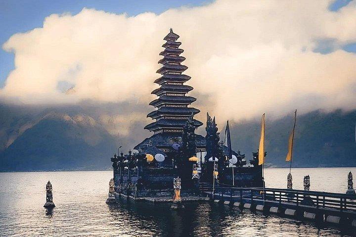インスタ映えするジャングルスイング付きベストウブドツアー