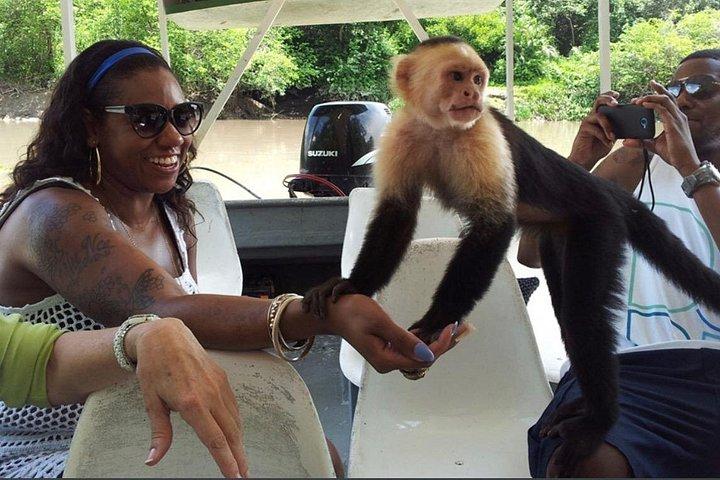 Wildlife river boat safari & Cultural experience.
