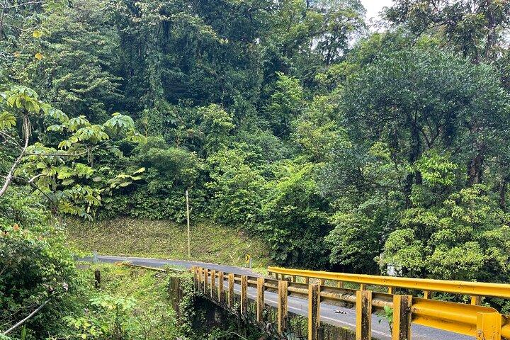 自然の生息地のナマケモノとブルーリバーの滝