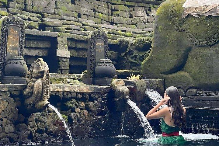 Ubud Tour com Jungle Swing e Waterfall Water Temple