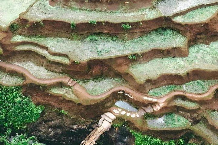 ウブド ツアー : ジャングル スイング - カンプハン リッジ ウォーク - テグヌンガン滝