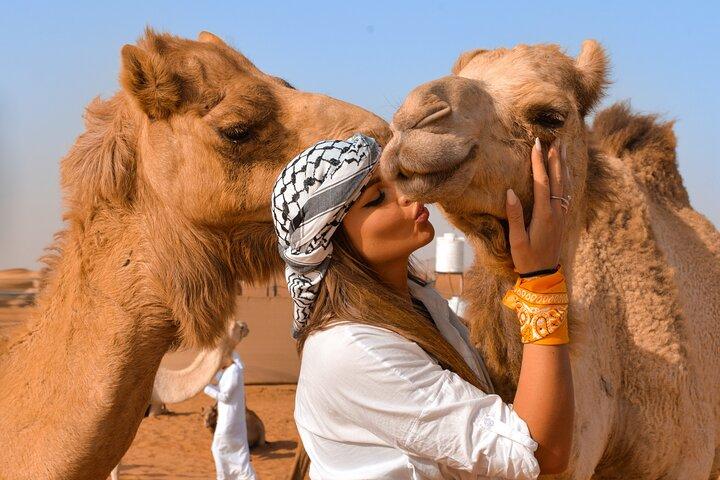 Visite privée matinale du safari dans le désert de Dubaï