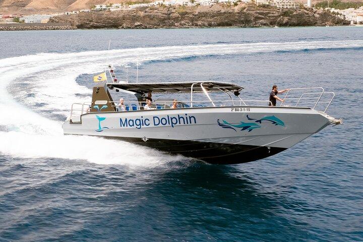 Morro Jable: 2 Stunden Magic Dolphin & Whale Watching mit Drinks & Swim Stop.