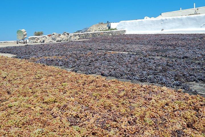 サントリーニ島の初めてのゲストのプライベートツアー観光、発掘調査、ワインの試飲