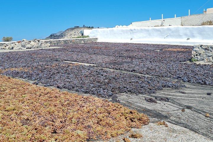 サントリーニ島の初めてのゲストのプライベートツアー観光、発掘調査、ワインの試飲