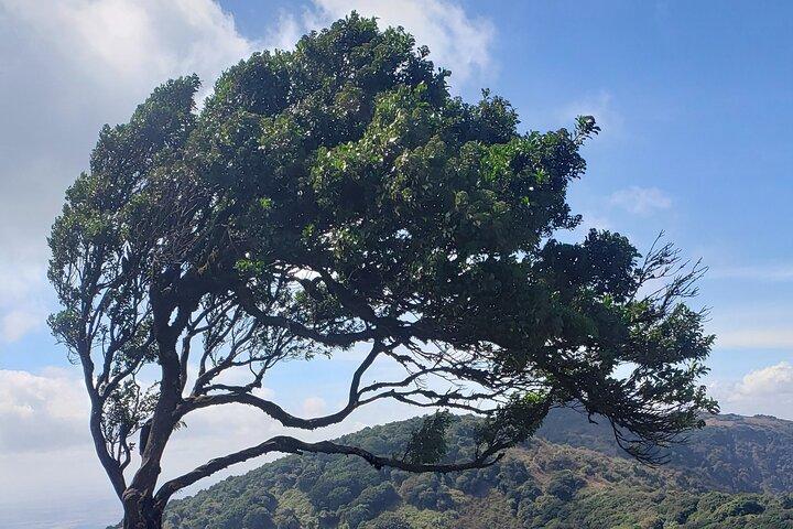 ナイロビからNgong Hillsへのプライベート半日ハイキング