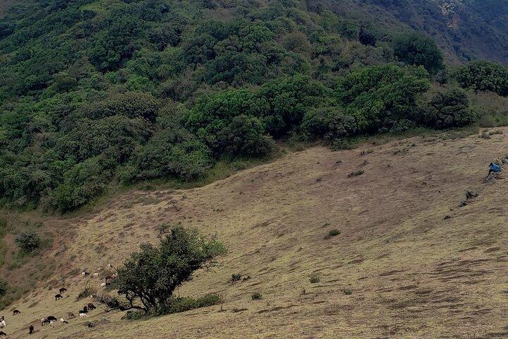 ナイロビからNgong Hillsへのプライベート半日ハイキング