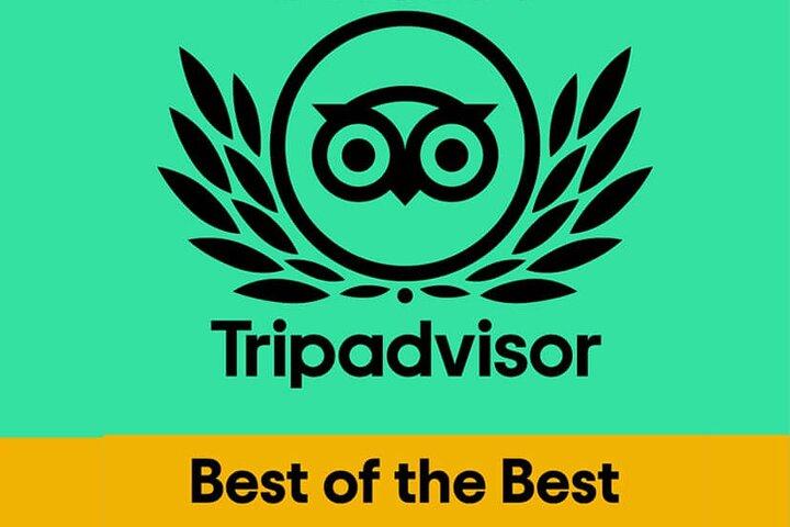 Massagerfaring med certificerede terapeuter og afhentning