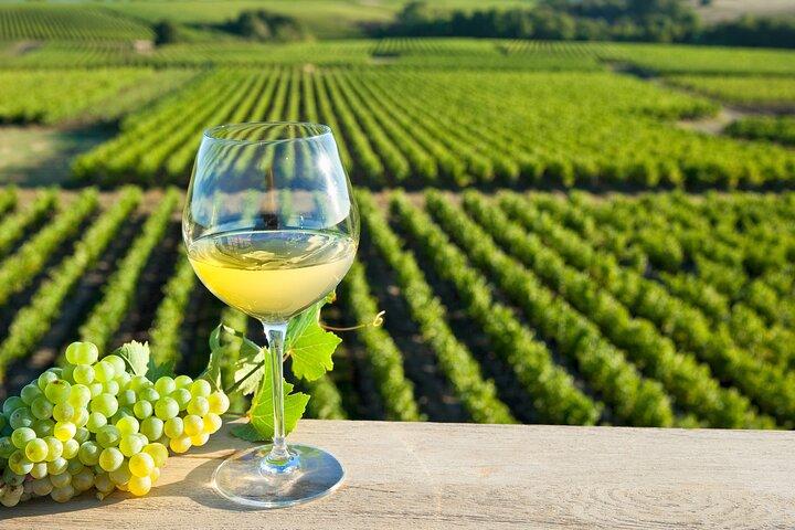 Weintour im Loiretal: Chinon & Bourgueil