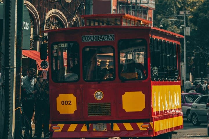 Private Tour to Xochimilco, Coyoacan and Frida Kahlo Museum