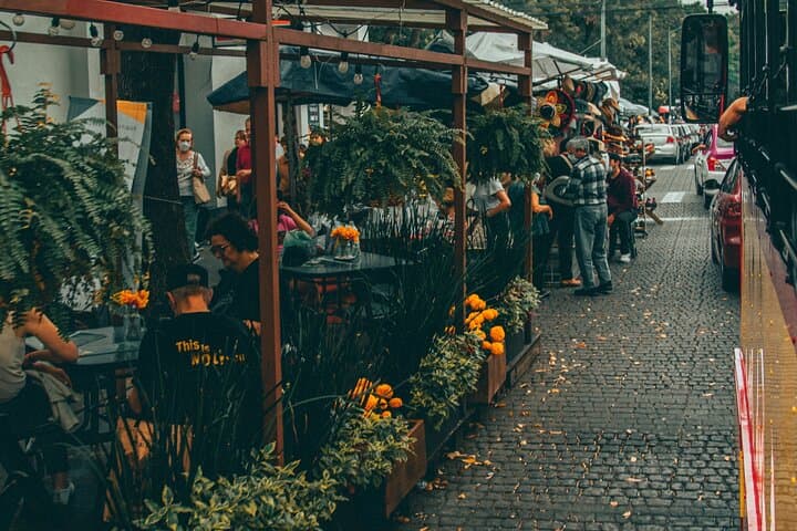 Private Tour to Xochimilco, Coyoacan and Frida Kahlo Museum