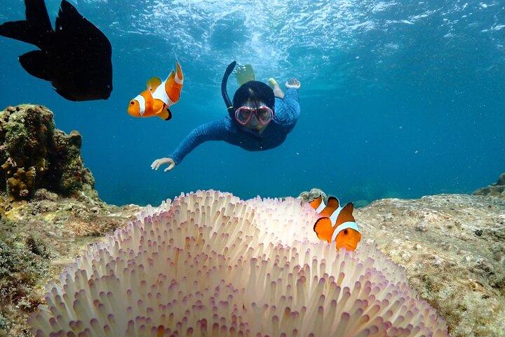Snorkling heldagsupplevelse från Bangkok