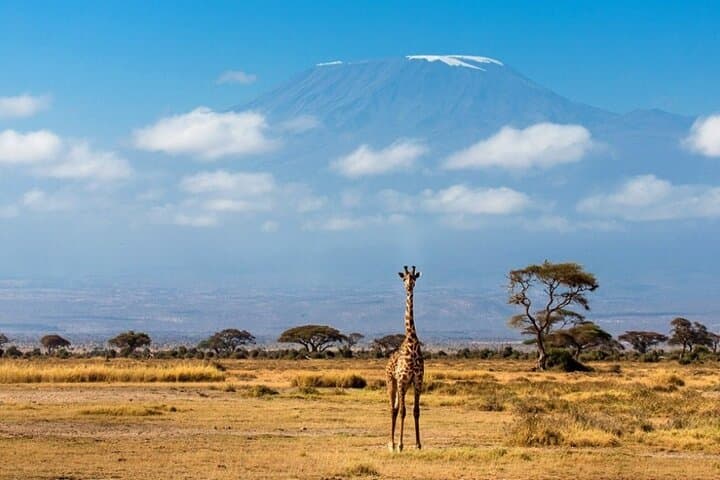 6-Day Private Landcruiser Safari to Masai Mara, Nakuru & Amboseli