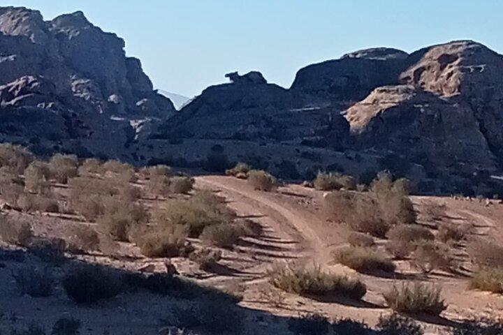Petra back-road Trail / Volledige dagwandeling