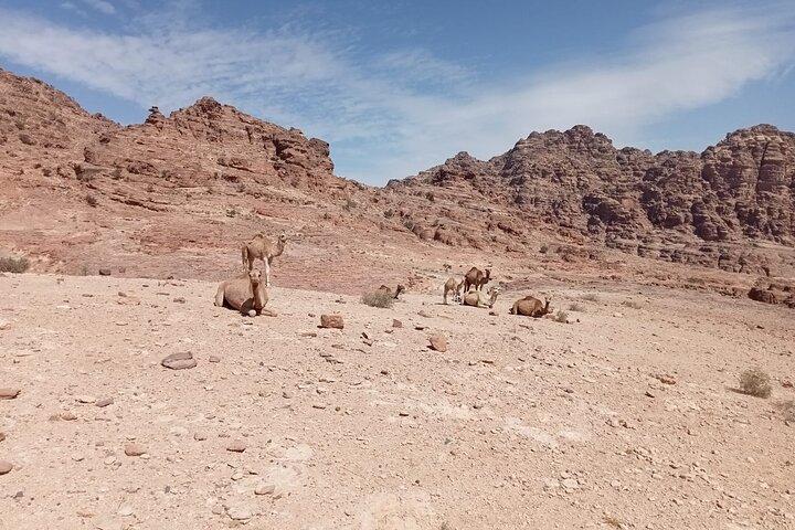 Petra back-road Trail / Volledige dagwandeling