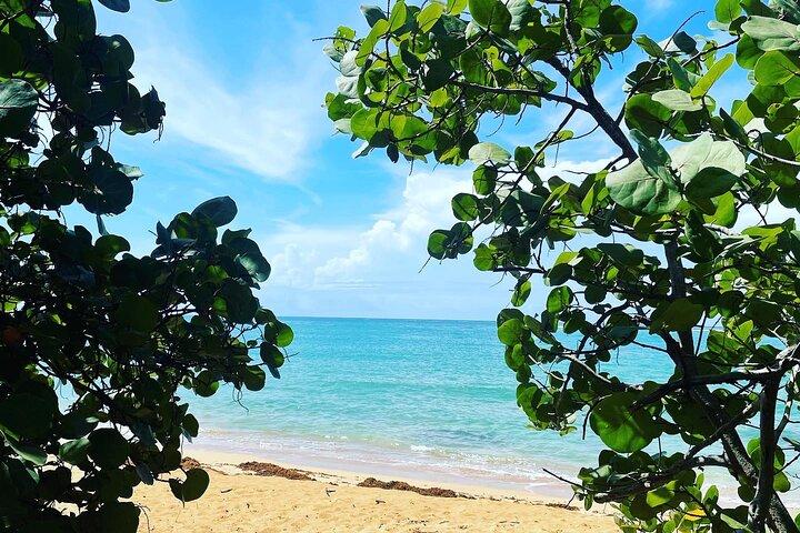Nascosto Fresh Spring of Water + Cave + Beach & Food Tour di un'intera giornata