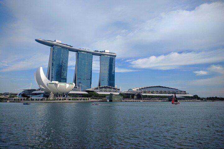 Tour privado de medio día por Singapur con jardín botánico de orquídeas
